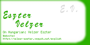 eszter velzer business card